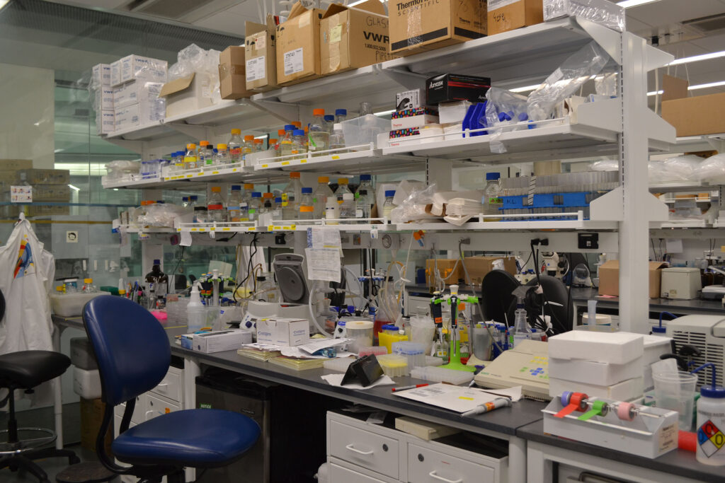 a lab setting with shelves of equipment and glassware